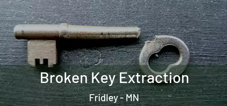  Broken Key Extraction Fridley - MN