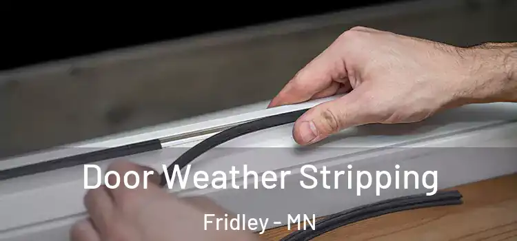 Door Weather Stripping Fridley - MN