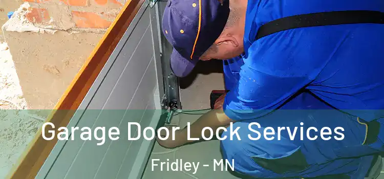Garage Door Lock Services Fridley - MN