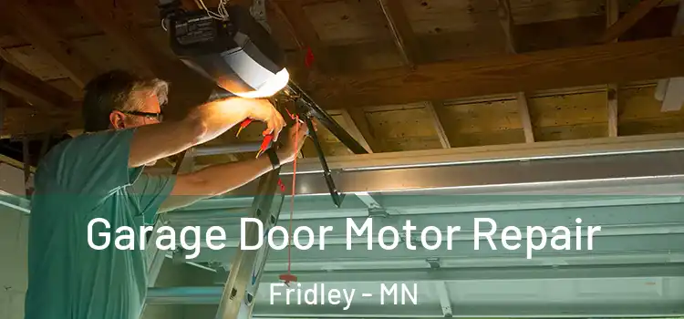  Garage Door Motor Repair Fridley - MN