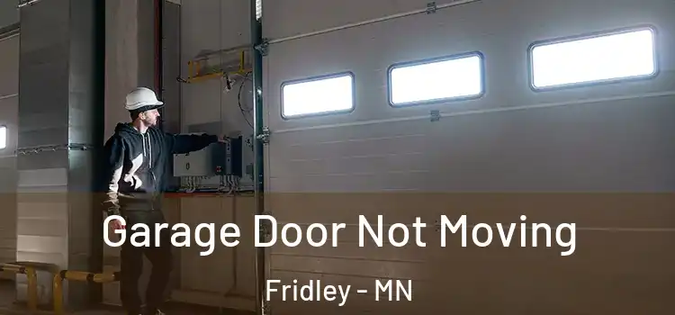  Garage Door Not Moving Fridley - MN
