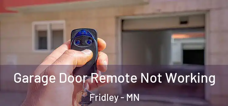  Garage Door Remote Not Working Fridley - MN