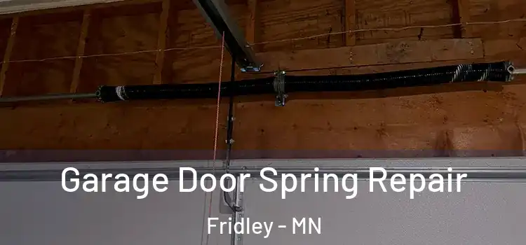  Garage Door Spring Repair Fridley - MN