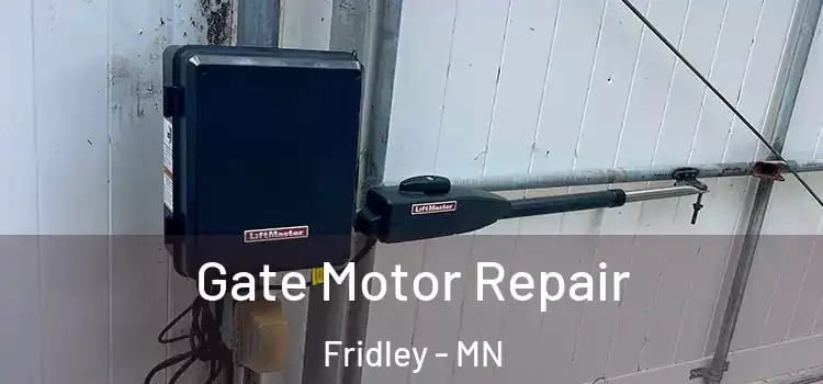 Gate Motor Repair Fridley - MN
