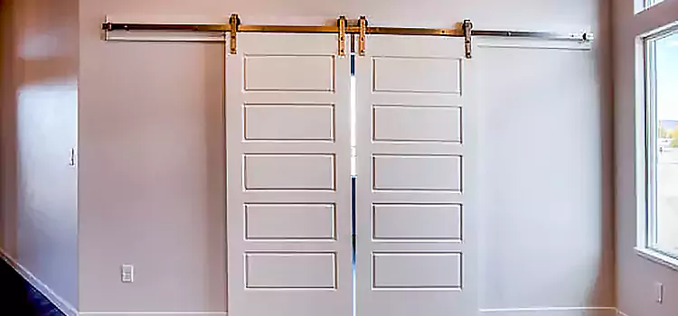 Glass Barn Door with Installation Hardware Kit Fridley