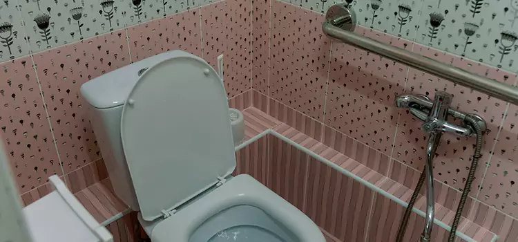 Meeting Diverse Needs With Accessible Restroom Solutions in Fridley, MN