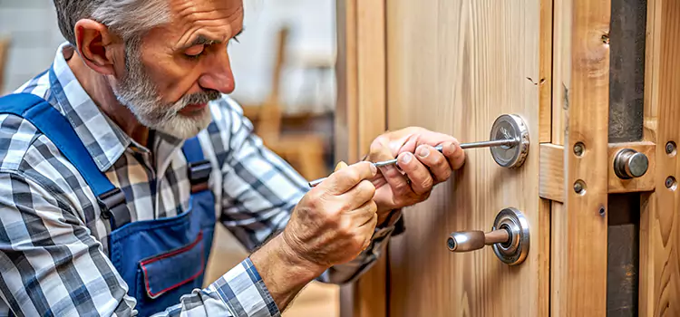 Mortise Replacement Lock Fridley