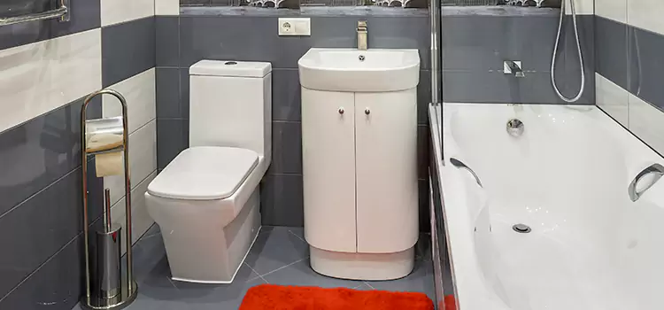 Hansgrohe Shaving Mirror Fridley