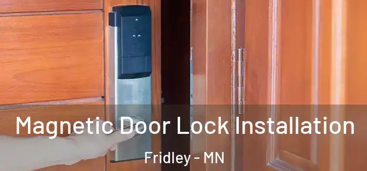  Magnetic Door Lock Installation Fridley - MN