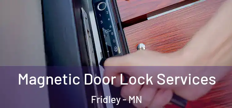 Magnetic Door Lock Services Fridley - MN