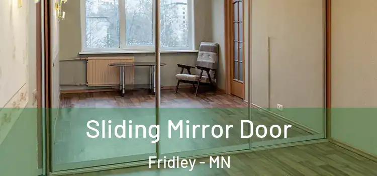  Sliding Mirror Door Fridley - MN